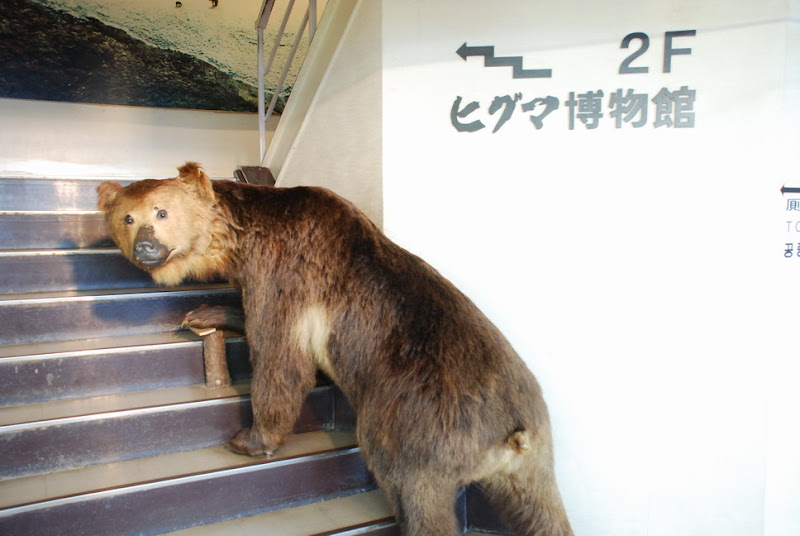 hokkaido_623.jpg