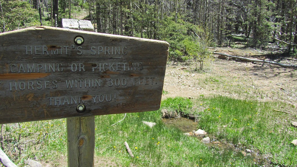 [Storrie-Lake-SP23-19-May-20124.jpg]