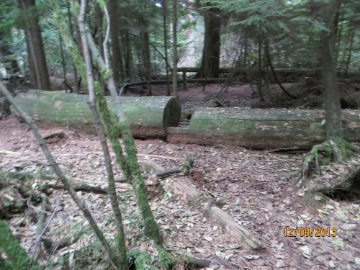 IMG_2223.jpg IMG 2223