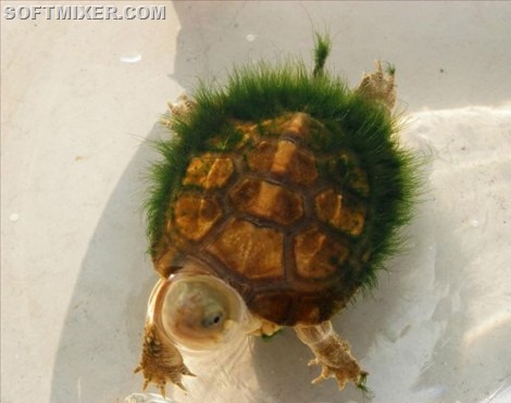 [clip_image012%255B10%255D.jpg]