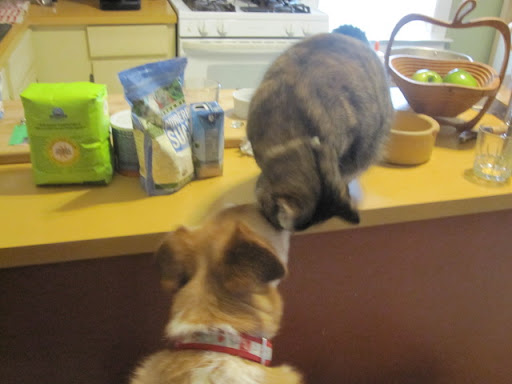 Gilda offered Nellie Oleson reassurance and love when the Chis were ignoring her bids to play.