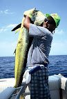 3628130-R1-E005.jpg