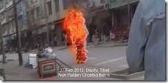 tibet_nun_palden_choetso_burns