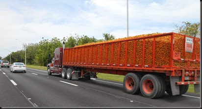 load of oranges on Hwy 27