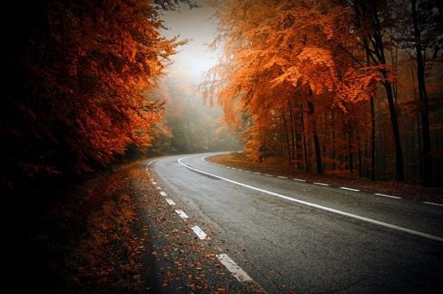 [autumn-colors-fall-005%255B2%255D.jpg]