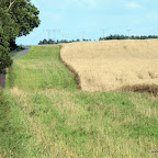 20100824_120_small.JPG