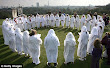 Round Druids