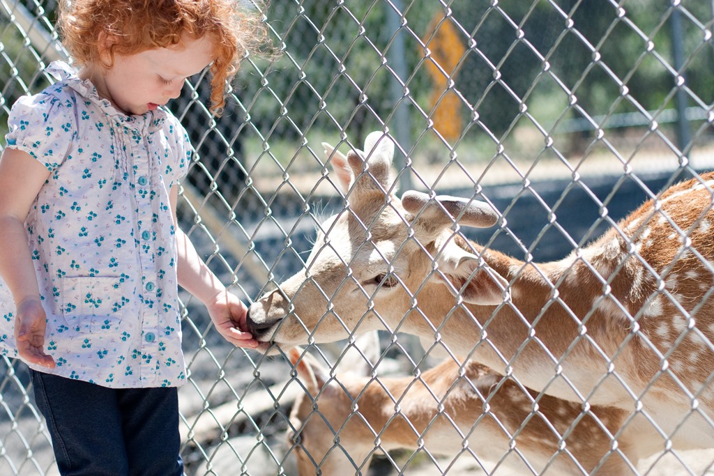 [20130618-IMG_04714.jpg]