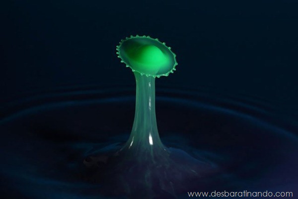 liquid-drop-art-gotas-caindo-foto-velocidade-hora-certa-desbaratinando (110) liquid-drop-art-gotas-caindo-foto-velocidade-hora-certa-desbaratinando (110)