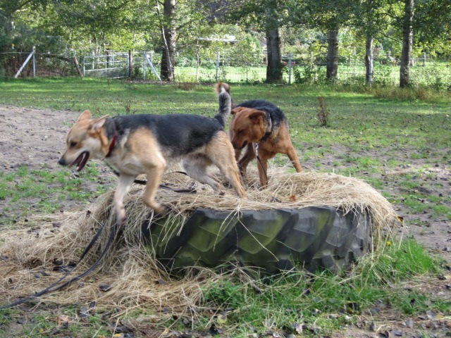 [IMG_0921%255B3%255D.jpg]