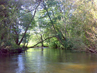DSC06046.JPG Photo