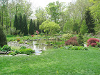 This overall view shows how meandering the pond garden is.