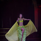 Document Name_3_213.JPG