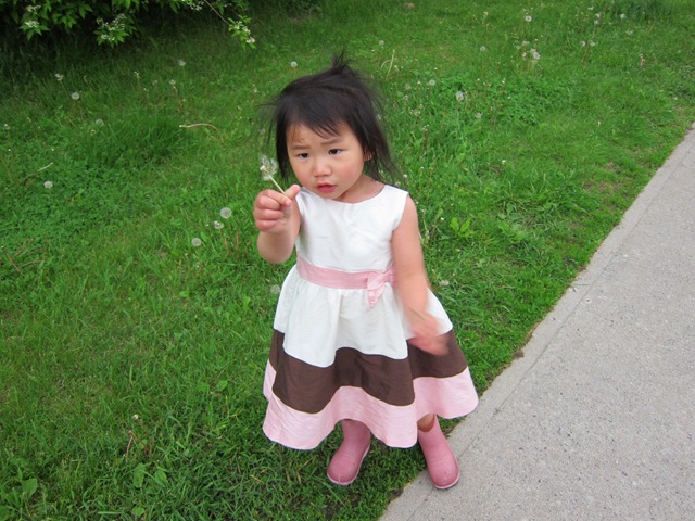 [IMG_0347%255B3%255D.jpg]