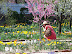 Mt Vernon in Spring