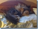IMG_0570 IMG_0570