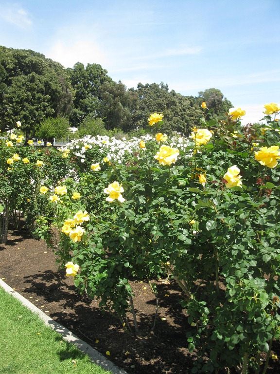 [california%25200230023%255B5%255D.jpg]