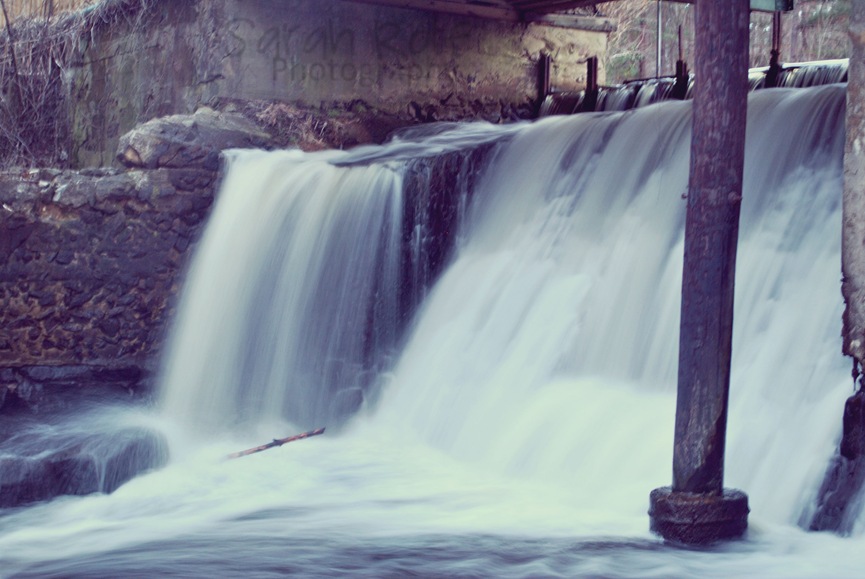 [Lexington-Gibson-Pond-Park-%255B3%255D.jpg]