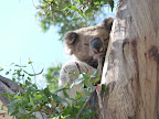 P1020128.JPG