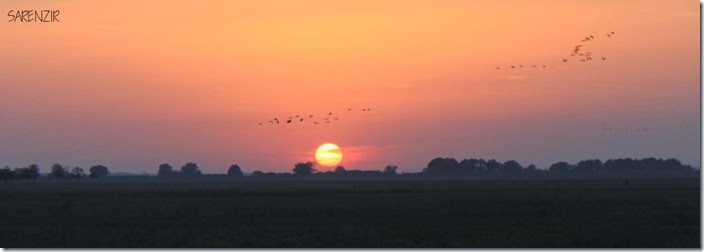 IMG_7177m IMG_7177m