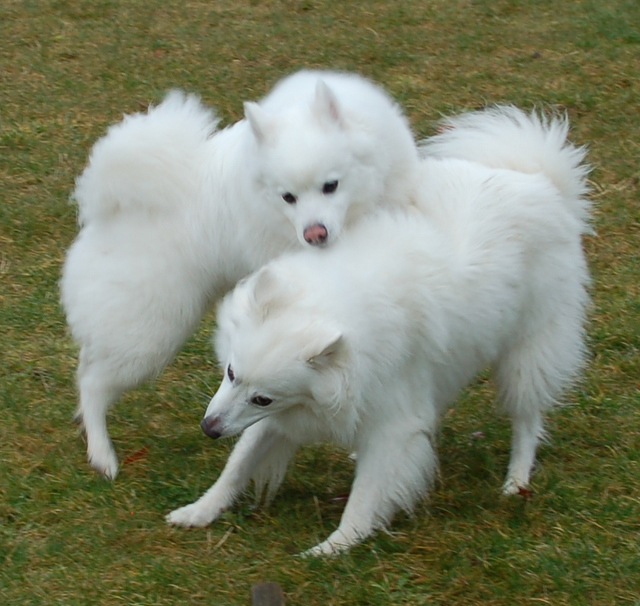 [DSC_5368%255B4%255D.jpg]