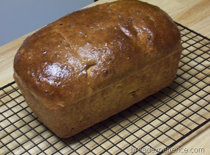 [sprouted-kamut-bread%2520044.jpg]