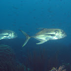 IMG_9189.JPG