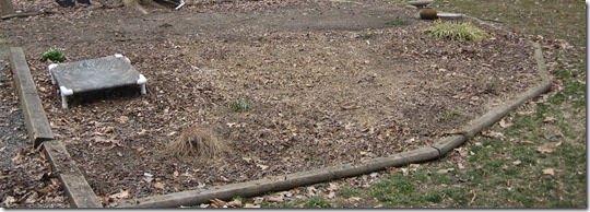 IMG_5984 IMG_5984