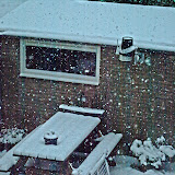 Albumomslag van Winter 2010-2011
