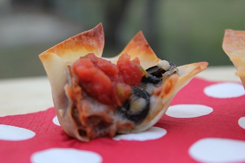 vegetarian taco bites vegetarian taco bites