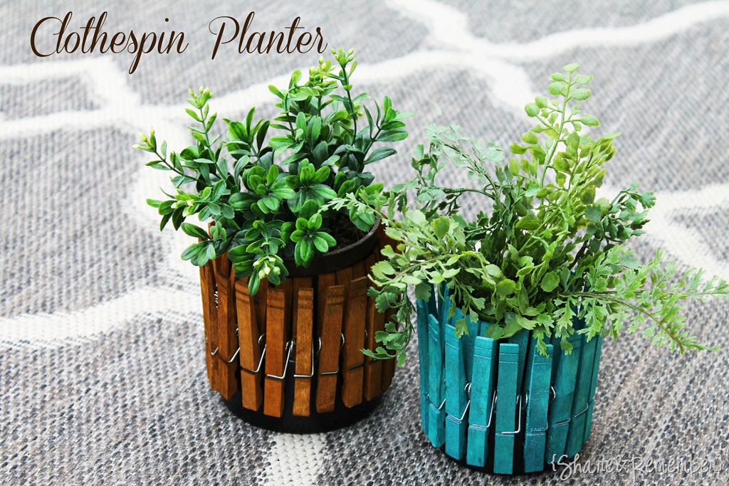 [Clothespin-Planter-3.jpg]