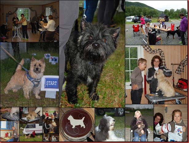 2012-08-11 Cairn-treff i Bardu