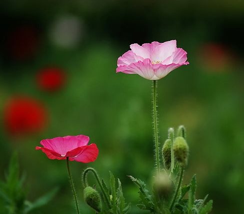 [64249bc887024973daaaf62a%255B2%255D.jpg]