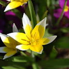 DSC_0011.jpg