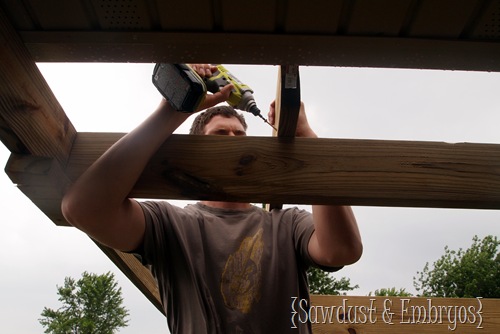 Assembling the pergola