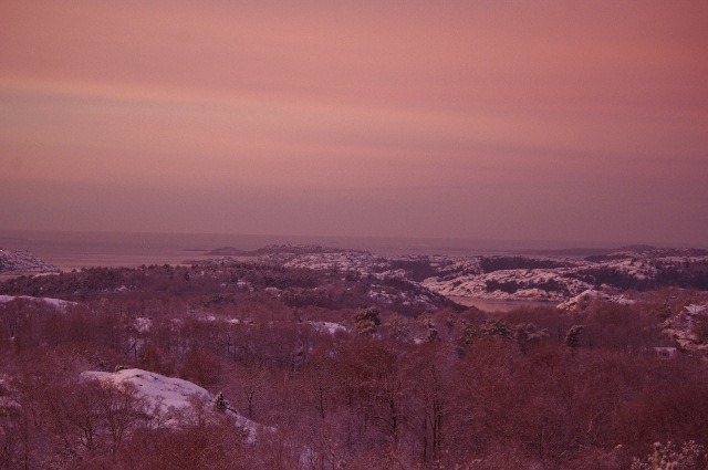 IMGP4061 (640x425)