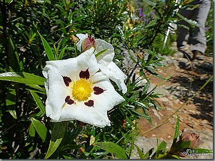 P1020102 P1020102