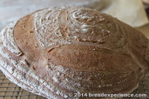[bread-sprouted-flour_420%255B11%255D.jpg]