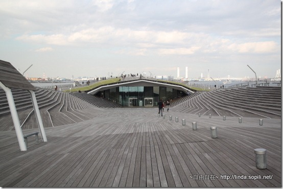 IMG_5358 IMG_5358