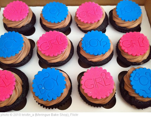 'Gender Reveal party cupcakes' photo (c) 2010, kristin_a (Meringue Bake Shop) - license: http://creativecommons.org/licenses/by-nd/2.0/