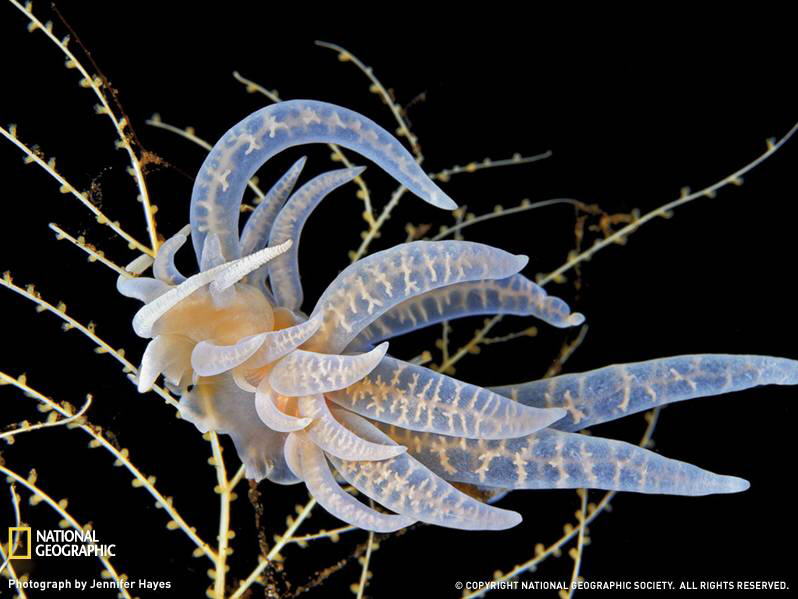 PHOTOS FROM NATIONAL GEOGRAPHIC