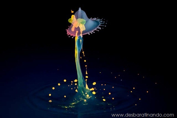 liquid-drop-art-gotas-caindo-foto-velocidade-hora-certa-desbaratinando (162) liquid-drop-art-gotas-caindo-foto-velocidade-hora-certa-desbaratinando (162)