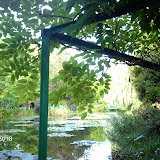 IMAG0788.JPG