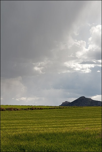 ss1