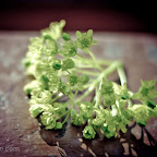 blog-6726.jpg