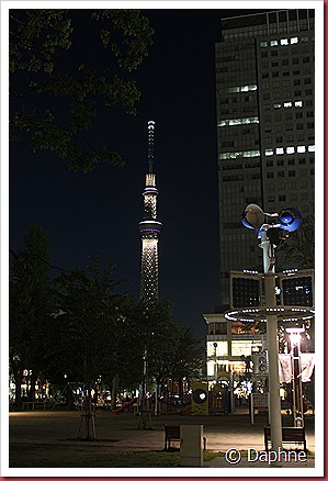 IMG_3420 IMG_3420