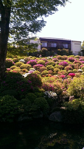 [IMAG1419%255B4%255D.jpg]