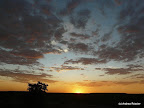 Etosha Nationalpark