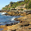 On the Coastal Walk - Sydney, Australi