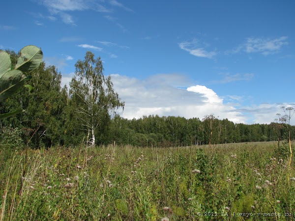 IMG_7339.JPG